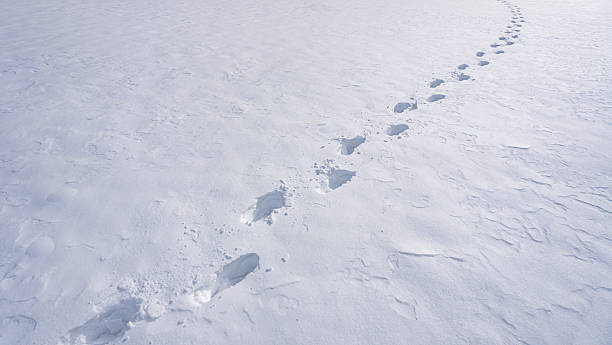 istock Winter step along footpath. Step forward in cold snow. Footsteps pattern in winter landscape. 2253295973
