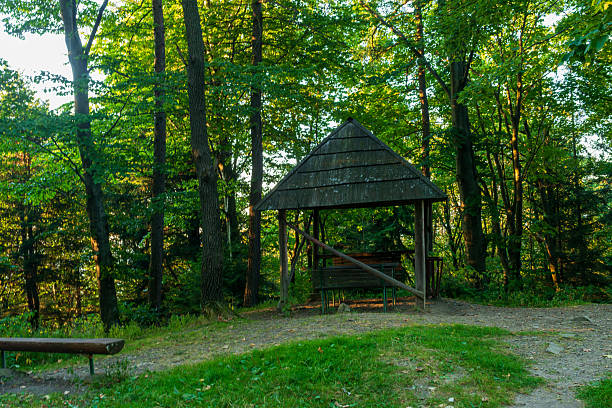 istock Simple forest shelter with bench in quiet clearing 2253296154