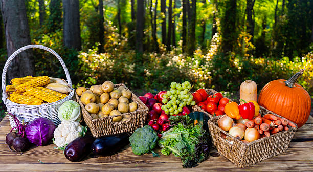 istock Assorted vegetables. Variety of vegetable. Mixed fruit and vegetable. Selection of vegetables on nature background. Vegetable mix assortment in basket. Set of autumn vegetables. Harvest concept. 2253298362