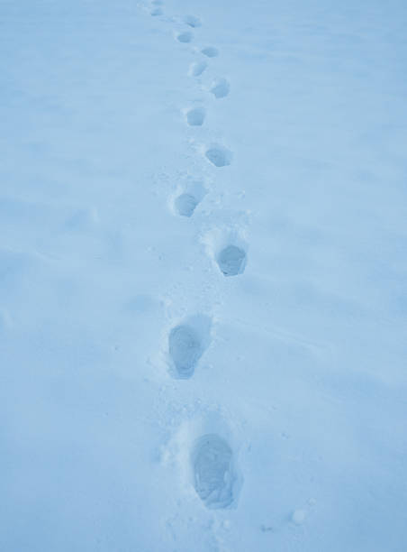 istock Step along frozen pathway. Step impressions in winter snow. Footstep on frosty path. Snow steps forward outdoors. Step pattern on winter walkway. 2253298615
