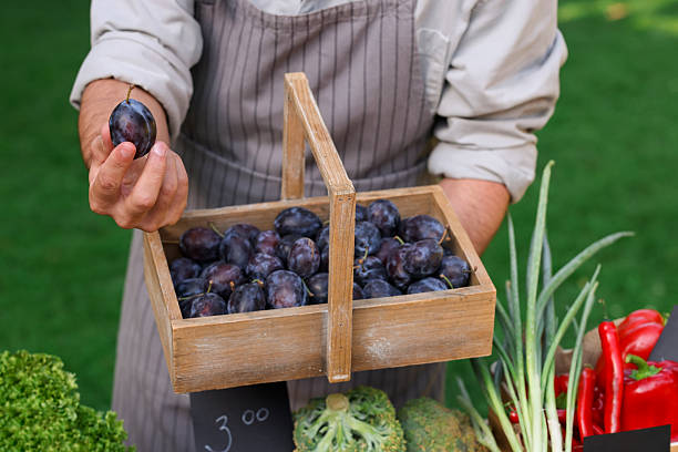 Farmer with basket of plums near stall with different fresh vegetables at market, closeup