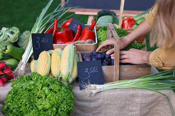 Farmer near stall with plums and different fresh vegetables at market, closeup