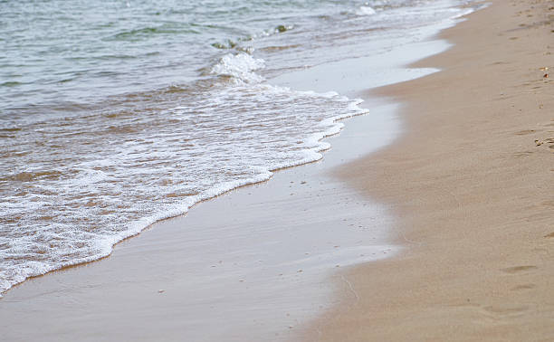 istock Minimalistic coastline illustrating gentle wave patterns over golden sand. Calm, with natural textures and subtle foam detail, perfect for backgrounds, vacation concepts, or spa and wellness designs. 2253302459
