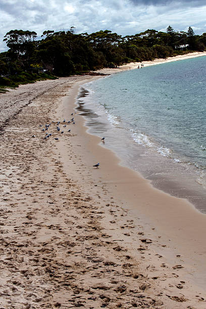 Fingal Beach, Port Stephens, Australia