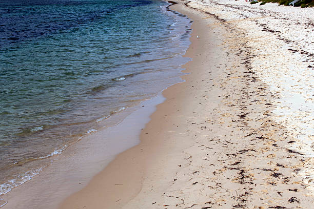 istock Fingal Beach, Port Stephens, Australia 2253302634