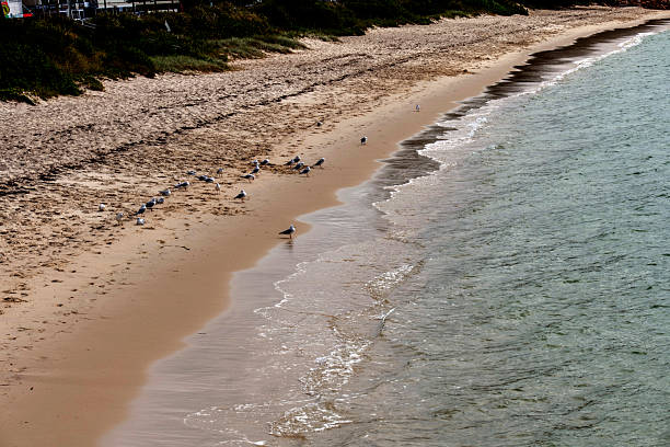 A tranquil stretch of sandy beach where gentle waves meet the shore, backed by lush green hills under a partly cloudy sky at Fingal Beach in Port Stephens, NSW, Australia.