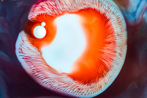 Close up abstract macro of circular liquid formation with bright white and orange glowing center, fine radial lines and blue surroundings, resembling eye or planet, technology or energy concepts.