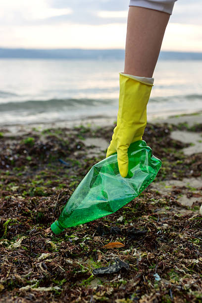 istock Volunteer picking up a green plastic bottle 2253304561