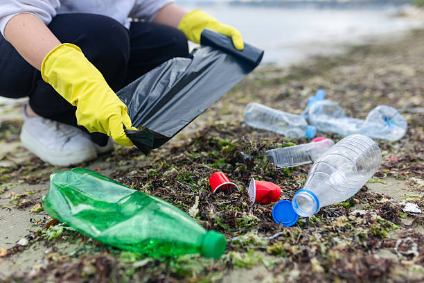 istock volunteer collecting plastic bottles on a 2253304591