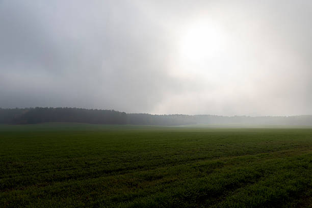 sky covered with thick clouds and thick fog that slowly dissipates from sunlight, dreary gray sky and thick fog that obscures the view