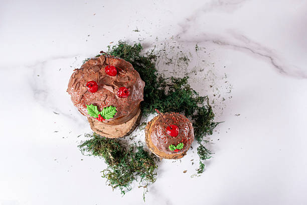 Panettone with melted chocolate frosting and cherries alongside moss_top view.