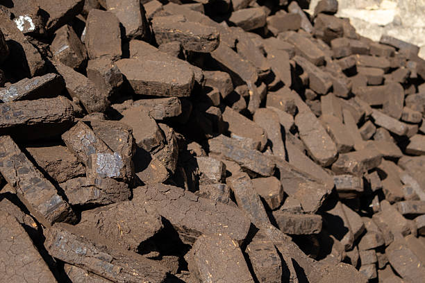 istock Workers prepare brown compressed earth blocks at a construction site during the afternoon. The sun casts shadows on the stacked materials 2253307308