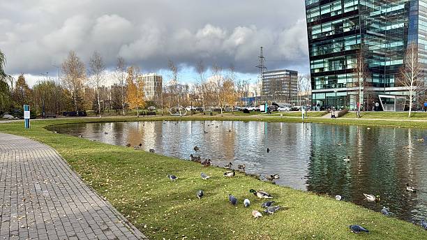 istock Urban Scene With Tranquil Water, Quiet City Setting Highlighting Natural Elements And Urban Activities, Serene City Landscape Combining Natural Beauty With Rhythm Of Daily Urban Life 2253307430
