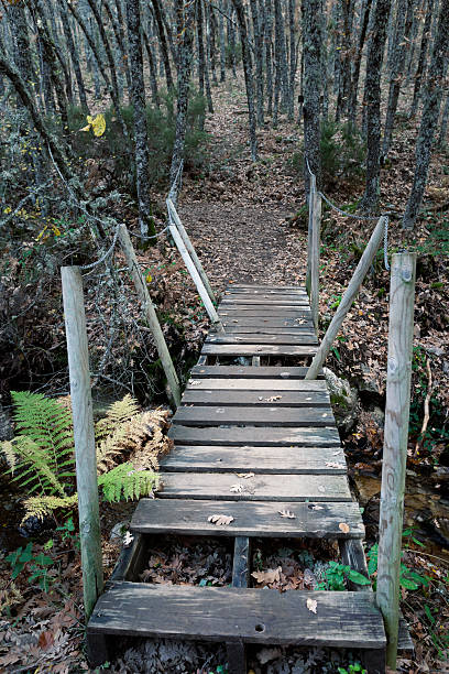 istock Puente de madera sobre el arroyo 2253308842