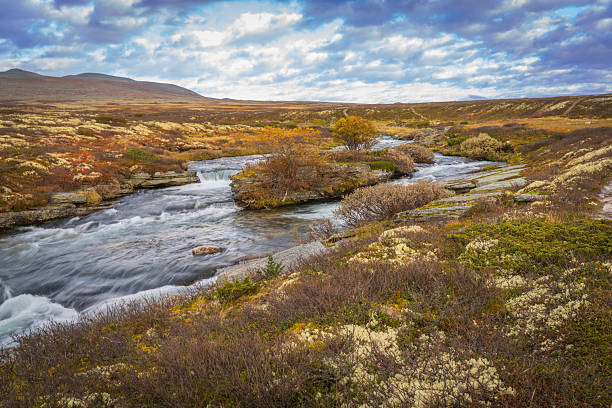 istock Mountain river flowing through autumn tundra landscape 2253309390