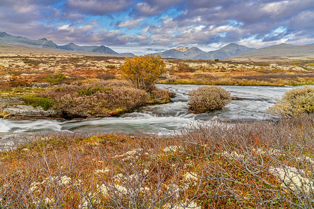 istock Tundra river cascades with small island and shrubs 2253309421