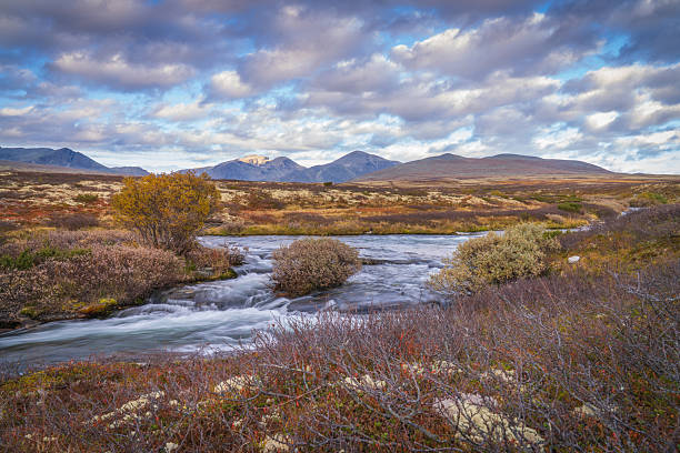 istock Fast flowing tundra river with shrubs in Rondane mountains 2253309437