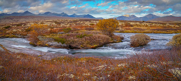 istock Fast flowing tundra river with shrubs in Rondane mountains 2253309464