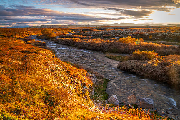 istock Meandering tundra river glowing in evening light in Rondane 2253309516