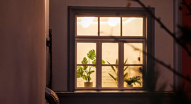 istock Illuminated Window at Night with Indoor Potted Houseplants Against a White Brick Wall 2253310872
