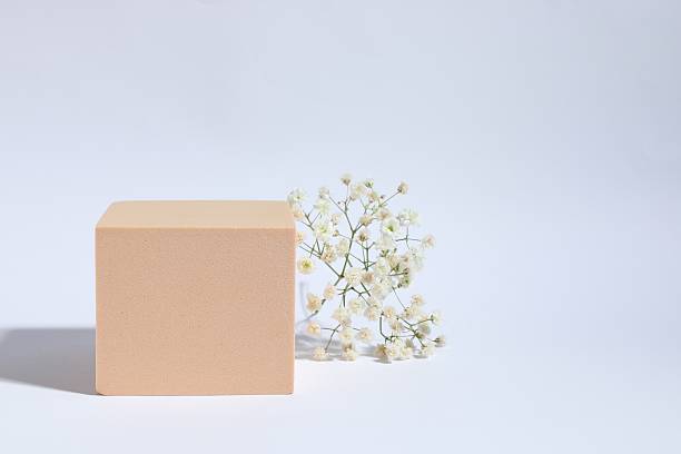 istock Podium and white gypsophila flowers on white background 2253312637