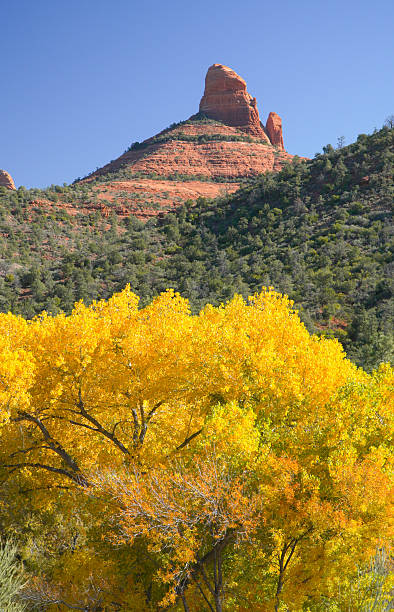 istock Sedona Arizona 2253314415