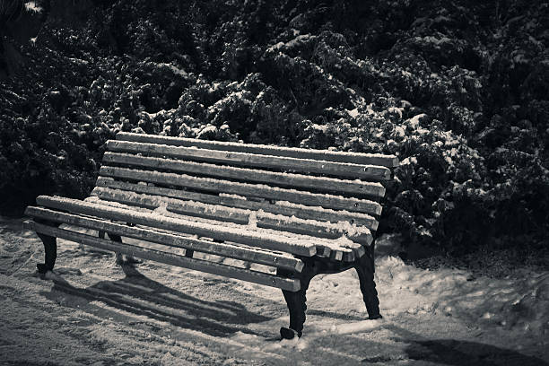 Artistic black and white winter photo of a single bench covered in snow, surrounded by dark foliage. Minimalist and moody park scene.