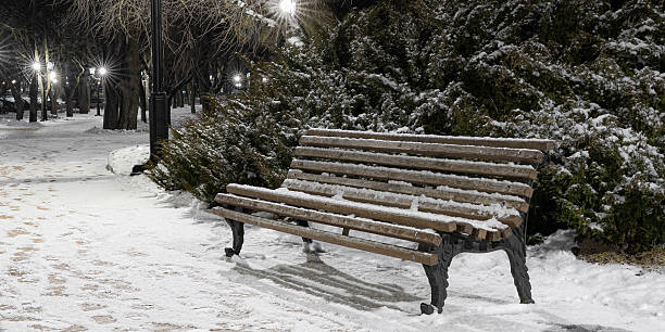 istock Snowy Path with Empty Wooden Bench and Lights 2253314539