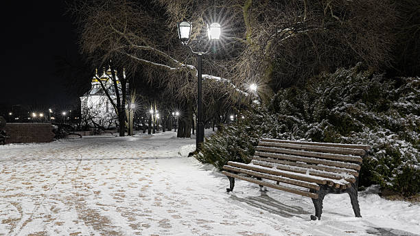 istock Snowy Path with Empty Wooden Bench and Lights 2253315166