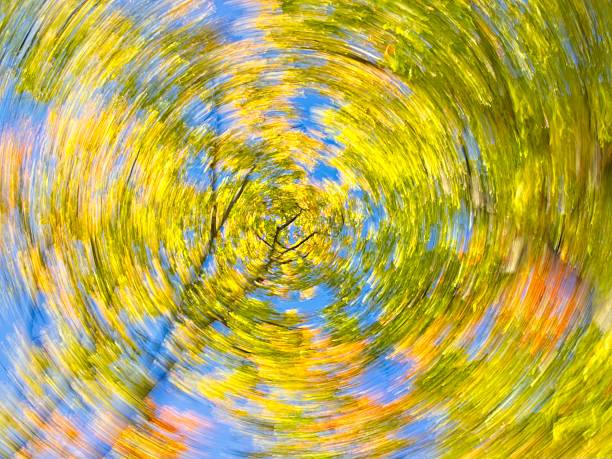 Rotated blue autumn leaf abstract for a colorful design element . Leaves beginning to change color in the upper peninsula of Michigan at Presque Isle park near Marquette.