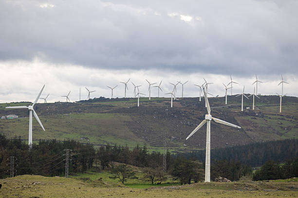 istock Wind farm generating clean energy on green hillside 2253318417