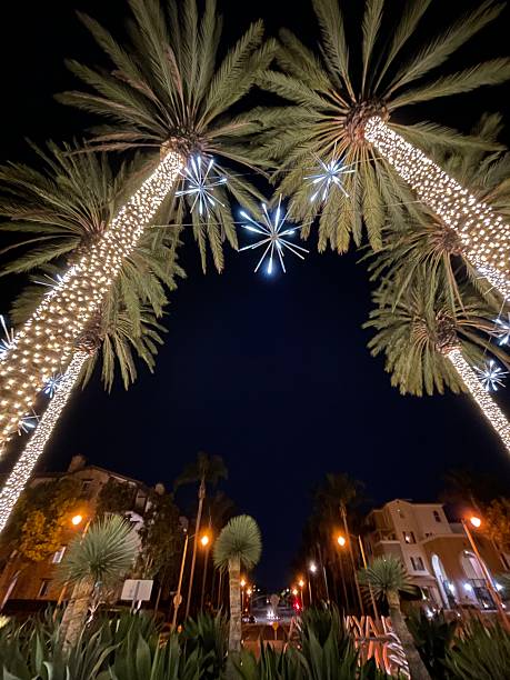 istock Palm Tree Lights In Playa Vista Concert Park 2253329690