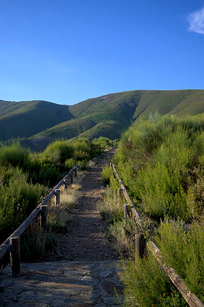 istock Mountain trail through green hills 2253330309