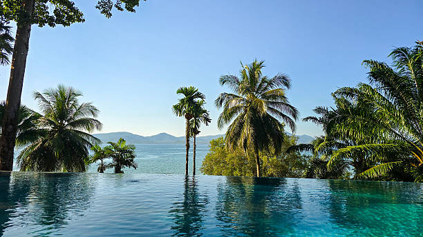 istock Tranquil infinity pool overlooking serene waters and lush palms on Koh Phayam, Thailand 2253330537