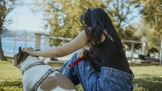 Curly focused blond female in cowgirl clothes looking down while putting saddle on rug placed on wooden stable