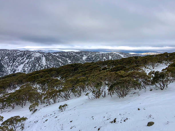istock Snowfields at Falls Creek in the Victorian High Country 2253330996
