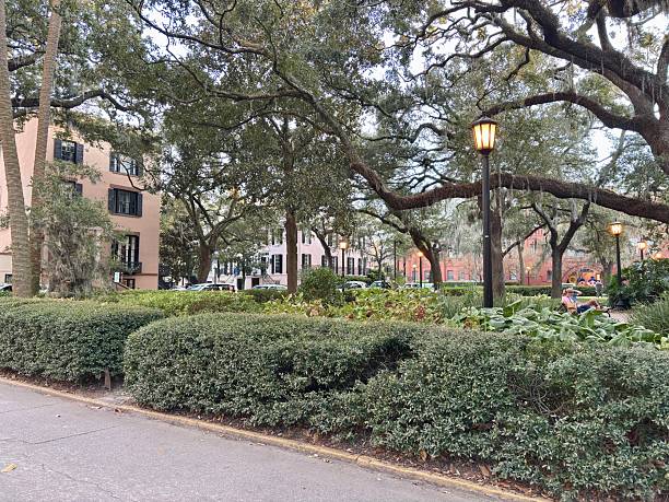 istock Park square in Savannah at dusk with mossy oaks and lampposts 2253335113