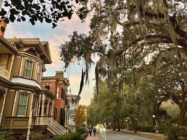 istock Savannah street w/ Victorian architecture & mossy trees at dusk 2253335147