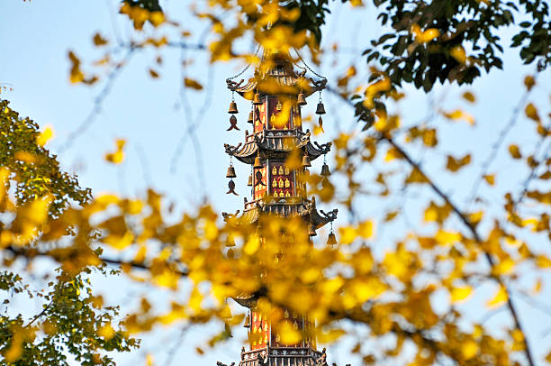 Chinese style ancient buildings among flowers outdoors