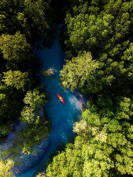 istock Explore serene kayaking through lush mangroves on Koh Phayam Island, Thailand 2253336658