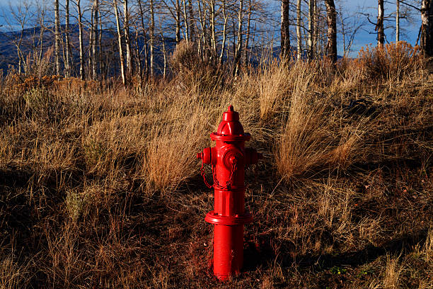 Bright red fire hydrant with golden hour light, aspen trees, and distant mountain views.