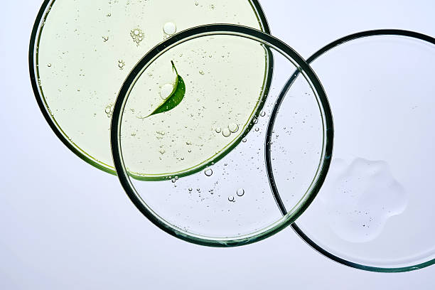 istock Three petri dishes with different serums and pipettes. 2253341213