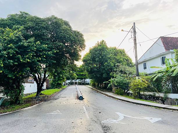 istock Curved road with trees and houses 2253344484