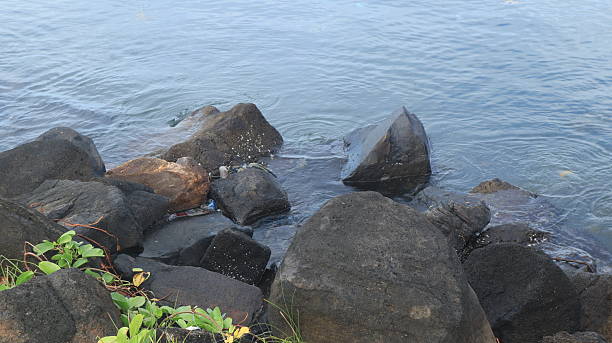 istock Rocks of the beach 2253346030