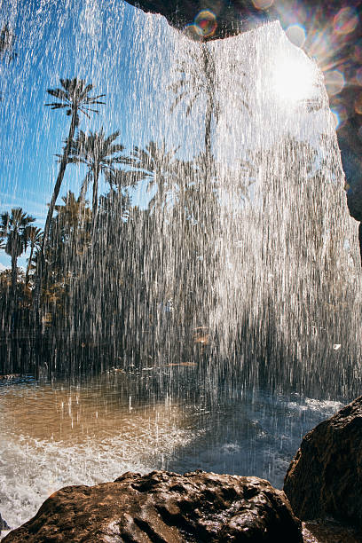 Waterfall with palm trees and sun creating a refreshing tropical scene