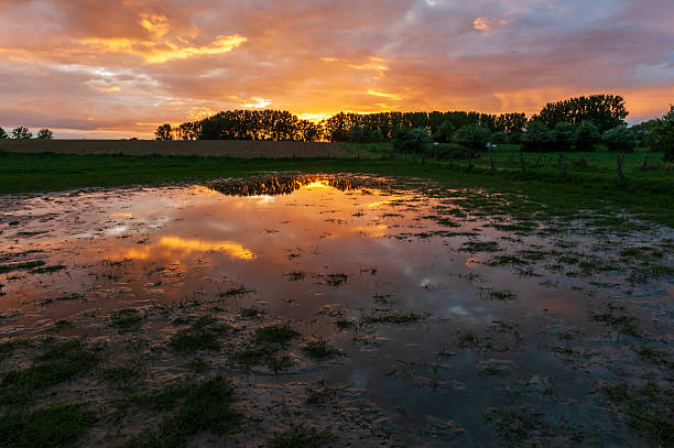 istock Nature in East Flanders 2253348267