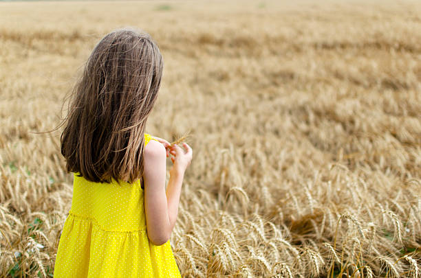 Happy child in autumn wheat field. Harvest season