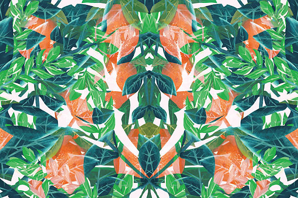 Citrus fruit with plant pattern