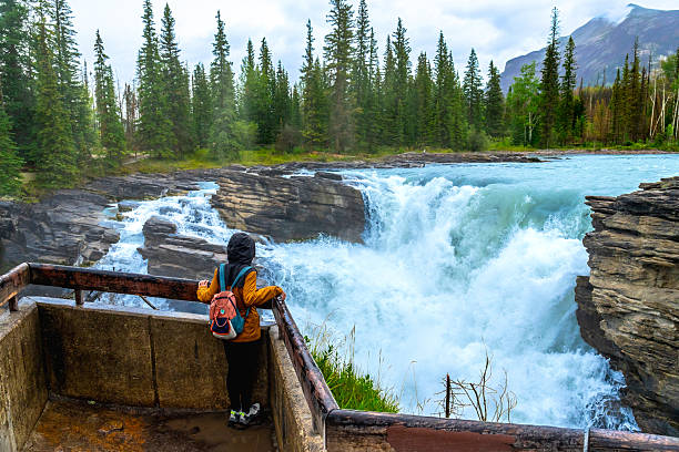 istock Tourist admiring athabasca falls in jasper national park 2253354477