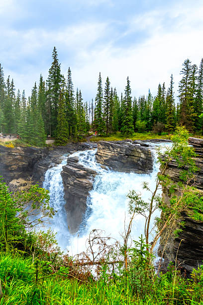 istock Athabasca falls rushing through jasper national park 2253354484